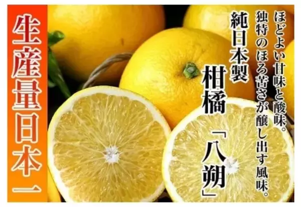 「ＪＡタウンのショップ「和歌山県 ココ・カラ。和歌山マルシェ」で 新春お年玉キャンペーンを開催！」の画像