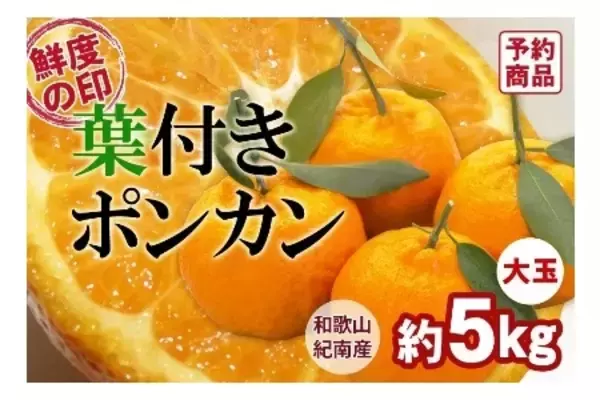 「ＪＡタウンのショップ「和歌山県 ココ・カラ。和歌山マルシェ」で 新春お年玉キャンペーンを開催！」の画像