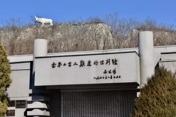 営口金牛山遺跡：人類進化の重要な空白を埋める26万年前の遺産