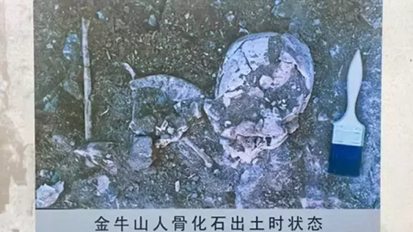 「営口金牛山遺跡：人類進化の重要な空白を埋める26万年前の遺産」の画像