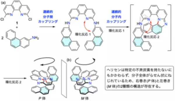 「分子の「長さ」で光の性質を自在に制御」の画像