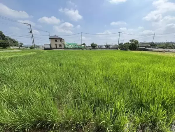 【立正大学】毛呂山町と経営学部・杉原ゼミが「ブランド米開発」でビジネス視点の地方創生へ