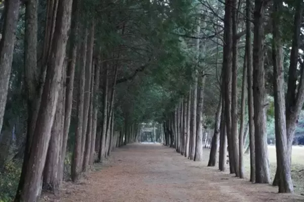 「海のまち高知県黒潮町の一軒宿で自然と向き合い、心身を整えるリトリート旅」の画像