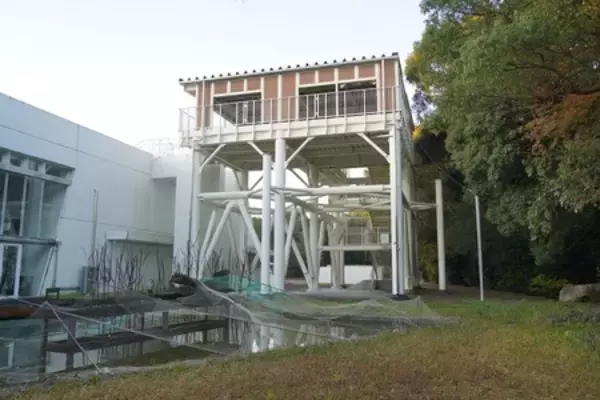 「海のまち高知県黒潮町の一軒宿で自然と向き合い、心身を整えるリトリート旅」の画像