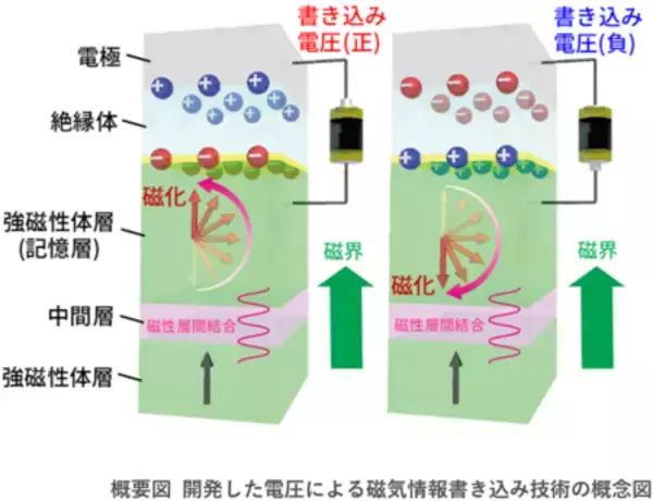 電圧駆動による安定な磁気情報書き込みの新技術を開発