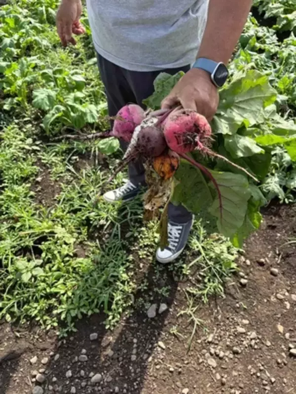 「フレンチレストラン「サンシャインクルーズ・クルーズ」にて長崎フェア開催中」の画像