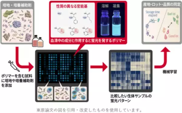 バイオものづくりを支える培養―その基盤となる培地の違いや状態を見分ける新技術