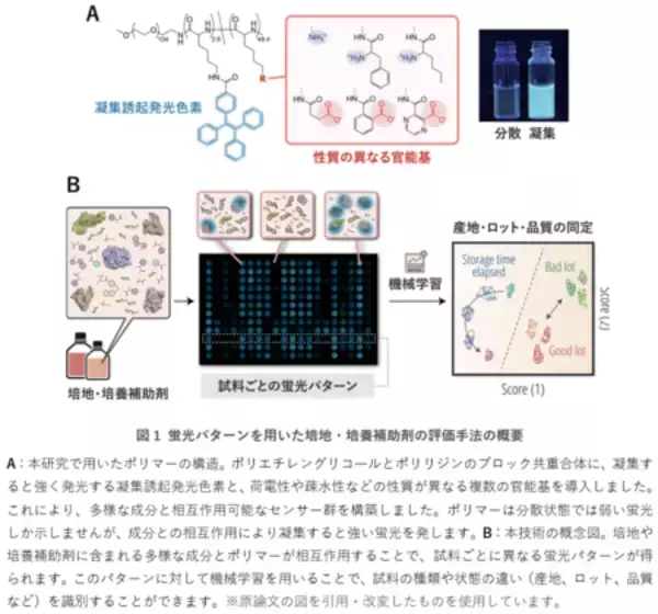 「バイオものづくりを支える培養―その基盤となる培地の違いや状態を見分ける新技術」の画像