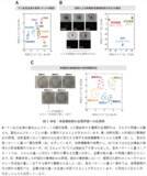 「バイオものづくりを支える培養―その基盤となる培地の違いや状態を見分ける新技術」の画像4