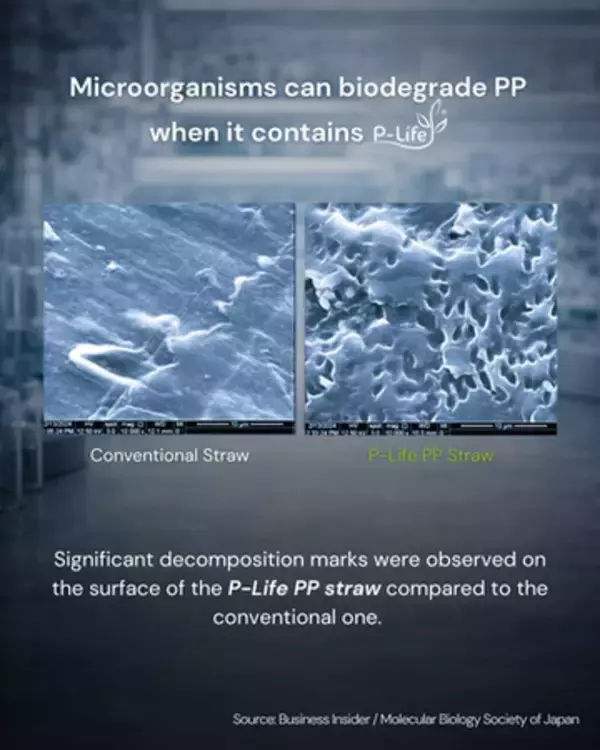 「P-Life Japan、プラスチックの微生物分解における科学的ブレークスルーを発表」の画像