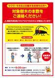 「【富士河口湖町】特定外来生物クビアカツヤカミキリ対策　サクラ等の無料消毒を実施」の画像1