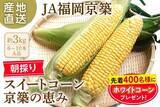「朝採り･当日発送で届ける甘みあふれる初夏の味覚！福岡県産スイートコーン京築の恵みをJAﾀｳﾝで予約販売開始」の画像1