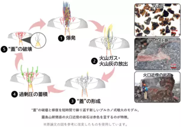 噴火の爆発力を蓄積する硬い“蓋”がなぜ短期間に修復されるのか？