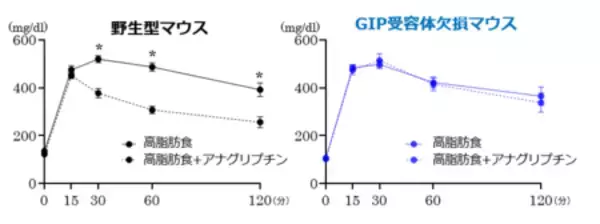 「ダイアベティス（糖尿病）治療薬DPP-4阻害薬の“真の主役”はGIPだった!?」の画像