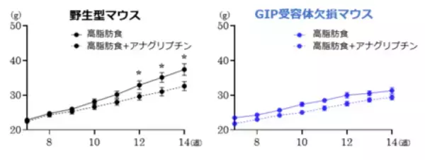 「ダイアベティス（糖尿病）治療薬DPP-4阻害薬の“真の主役”はGIPだった!?」の画像