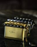 「日本初上陸！マレーシア発のブティックギターブランド “Shue Guitars”山野楽器にて販売開始」の画像5