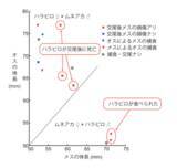 「外来種カマキリが在来種に与える「見えにくい影響」」の画像1
