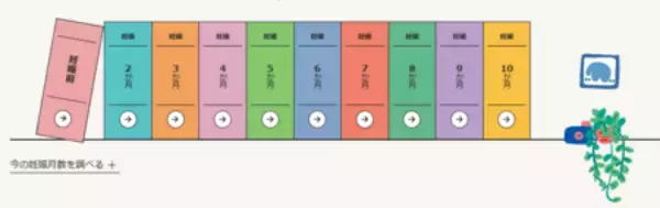 「妊娠がわかったら読む、プレママ・プレパパのはじめ方情報サイト『ベビークルナビ』2月4日（水）オープン」の画像