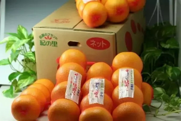 「JAタウン和歌山県のショップ「ココ・カラ。和歌山マルシェ」で 対象商品が２０％ＯＦＦ！」の画像