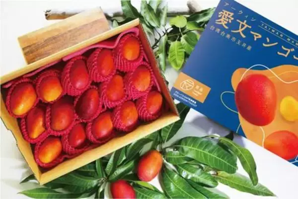 台湾アーウィンマンゴー発祥の地「玉井マンゴー」  旬の5kg箱を期間限定・数量限定で販売