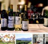 「山梨県韮崎市、輸入ワイン専門商社「カサ・ピノ・ジャパン」と連携し、ふるさと納税返礼品として登場！」の画像8