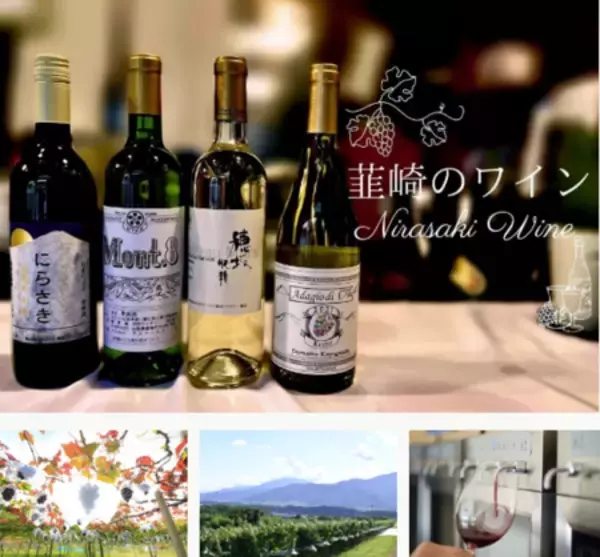 「山梨県韮崎市、輸入ワイン専門商社「カサ・ピノ・ジャパン」と連携し、ふるさと納税返礼品として登場！」の画像