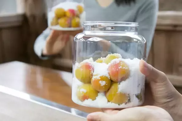 「亀の井ホテル 紀伊田辺 南紀の魅力を滞在中に楽しむ9つのアクティビティを提供開始」の画像