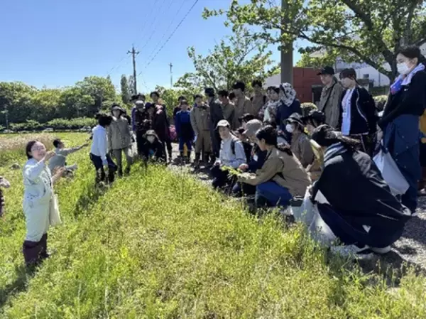 「根絶目前／北潟湖で市民と学生が挑む「オオキンケイギク除去イベント」開催」の画像
