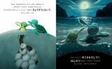 「俳優 宮沢氷魚さんが翻訳を担当！シリーズ世界累計600万部超の絵本『すすめ、ウミガメ』5月27日（水）発売」の画像3