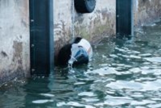 船舶の接岸・係留を支える緩衝材 DUNLOP初のフォーム式防舷材を高耐久設計で国内生産・発売