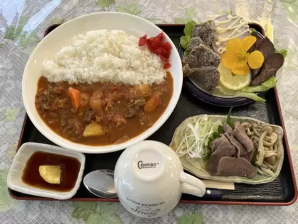 「関東最大級・富士山を彩る50万株の絶景「2026富士芝桜まつり」4月11日（土）より開催！」の画像