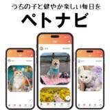 「愛犬・愛猫と一緒にレッドカーペットを歩く、ファッションショーを開催！」の画像12