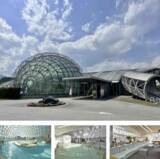 「【参加無料】1/17開催！スポーツ少年少女応援プロジェクト」の画像3