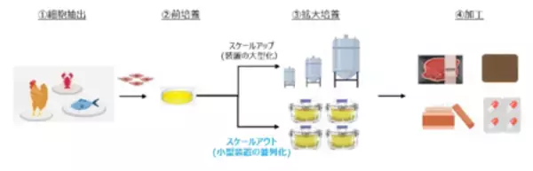 「細胞農業の社会実装へ、共創を加速 住友理工とインテグリカルチャー、戦略的パートナーシップを締結」の画像
