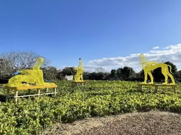 「身近なブルーシートが“神話”になる新進女性彫刻家・久保寛子、福井初個展」の画像