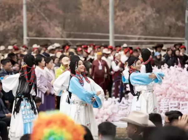 「道孚のアンズの花祭り、高原での新たな文化と観光の統合をアピール」の画像
