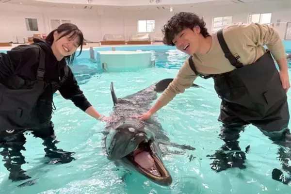 「「世界遺産・気球シャトルバス」の無料運行を開始！」の画像