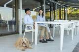 「ホテルマイステイズ蘇我 SONIA COFFEE&CAKE　 気軽に愛犬と楽しめるカフェに ペットフレンドリー設備を導入」の画像2