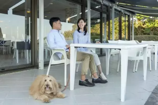 「ホテルマイステイズ蘇我 SONIA COFFEE&CAKE　 気軽に愛犬と楽しめるカフェに ペットフレンドリー設備を導入」の画像