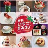 「冬の奈良のお寺や神社巡り「路地ぶら ならまち・きたまち 2026」 1月5日から開催」の画像9