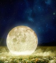 約4万人来場の春イベントが夜間初開催へ ― 長崎鼻 菜の花ライトアップ（2026年3月14日開幕）