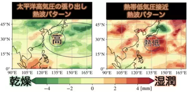 「台風がもたらす猛暑 ―大陸の乾燥熱波とは異なる日本型の“湿った熱波” ―」の画像
