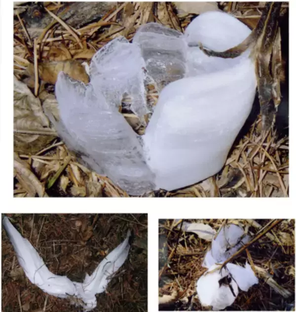 「【韮崎市民の皆さまへ】消防共同指令センターの運用が始まります」の画像