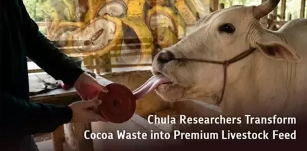 Chulaの研究者、カカオ廃棄物を高品質な家畜飼料に転換