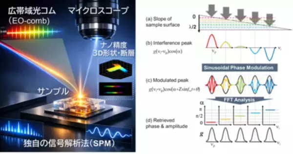 光コムで生体組織の“わずかな動き”までとらえる新しい3D計測技術を開発
