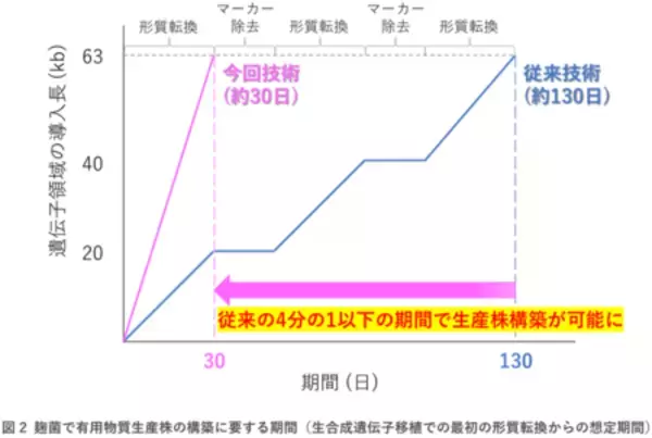 「麹菌に有用物質の“設計図”を素早く読み込ませる方法」の画像