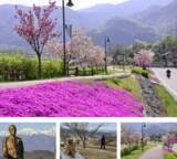 「【12/30】幸福の小径ミニ駅伝2025開催されます！事前エントリー不要」の画像2