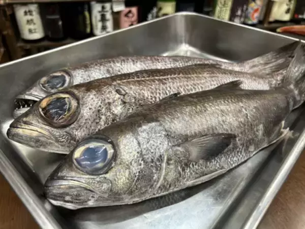 熱海ミニ横丁、4周年を迎えさらなる進化へ！ 累計来場者数6万人突破！料理100種以上！酒1,000種以上！