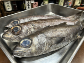 熱海ミニ横丁、4周年を迎えさらなる進化へ！ 累計来場者数6万人突破！料理100種以上！酒1,000種以上！