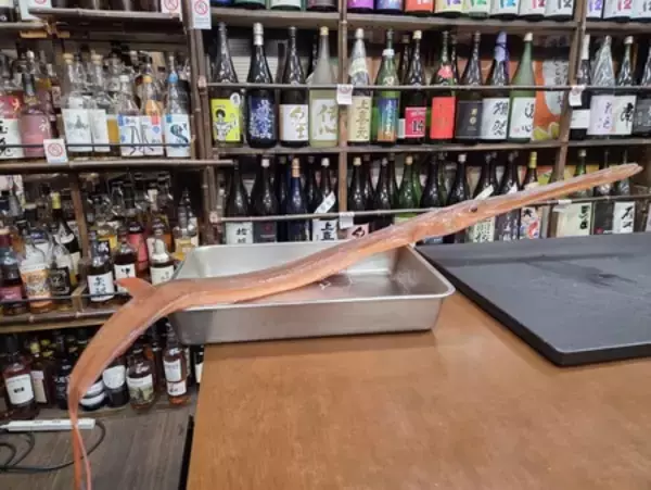 「熱海ミニ横丁、4周年を迎えさらなる進化へ！ 累計来場者数6万人突破！料理100種以上！酒1,000種以上！」の画像